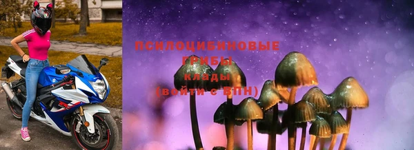 трава Абинск