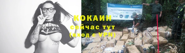 трава Абинск