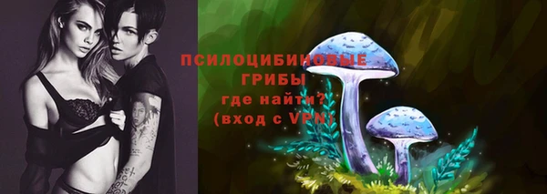 гидра Алзамай
