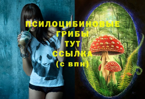 марки nbome Абаза