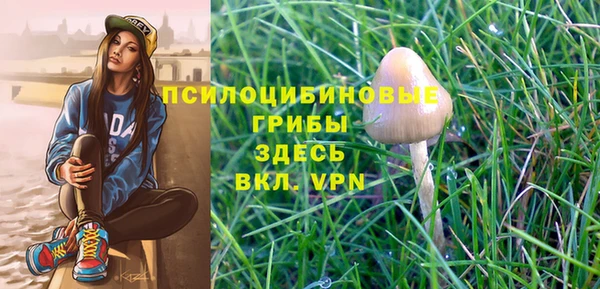 твердый Абдулино