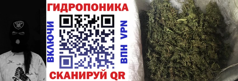 Конопля Amnesia  купить наркоту  Лысьва 